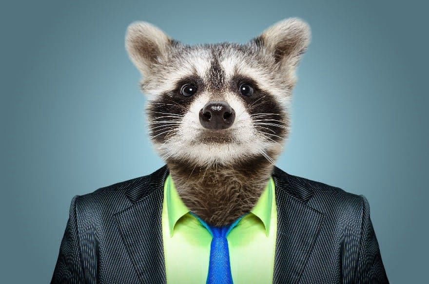 Public Services Health and Safety Association | Wildlife and the Workplace